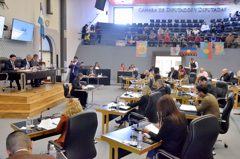 Diputados provinciales resolvieron que cederán inmuebles a comunidades aborígenes de Parera y General Acha
