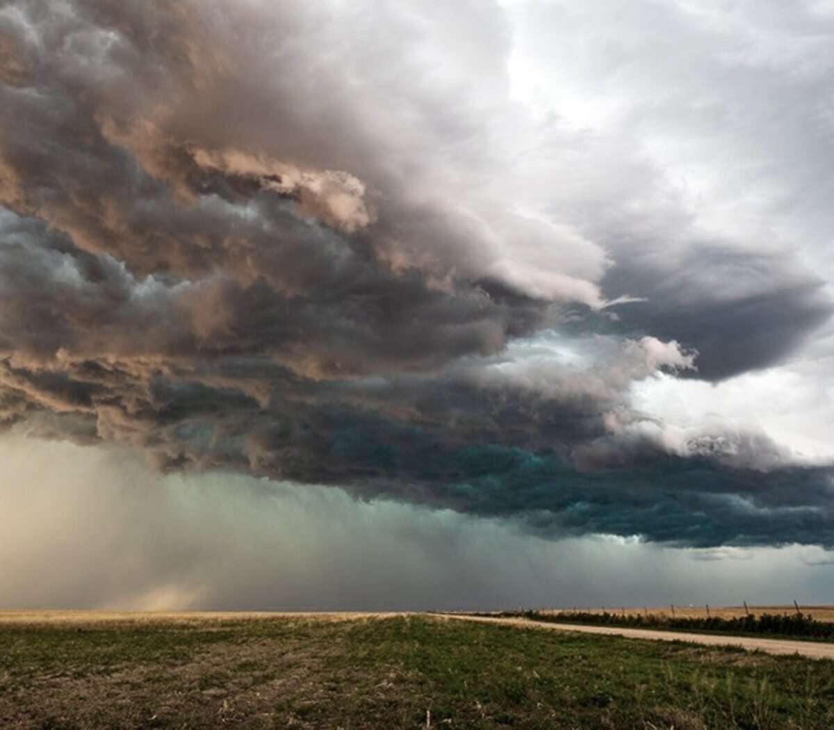 Lluvias en La Pampa: En Algarrobo del Ãguila llovieron 20 mm
