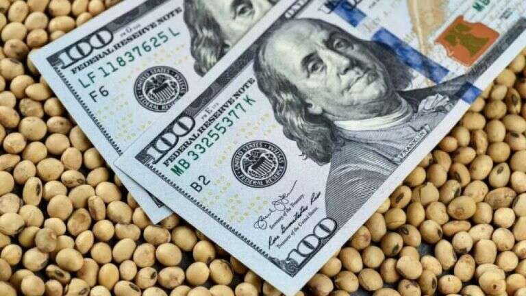 El agro liquidó US$1.966 millones en diciembre y totalizó ingresos por más de US$25.000 millones en 2024