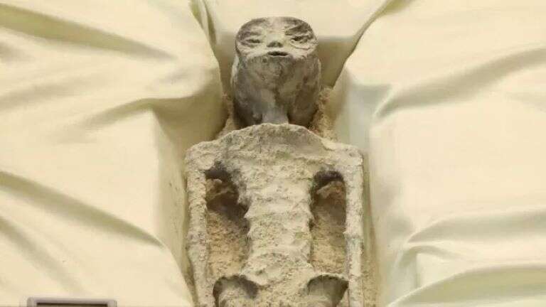 México: Un “ufólogo” mostró “seres no humanos de 1.000 años de antigÃ¼edad” en el Congreso mexicano