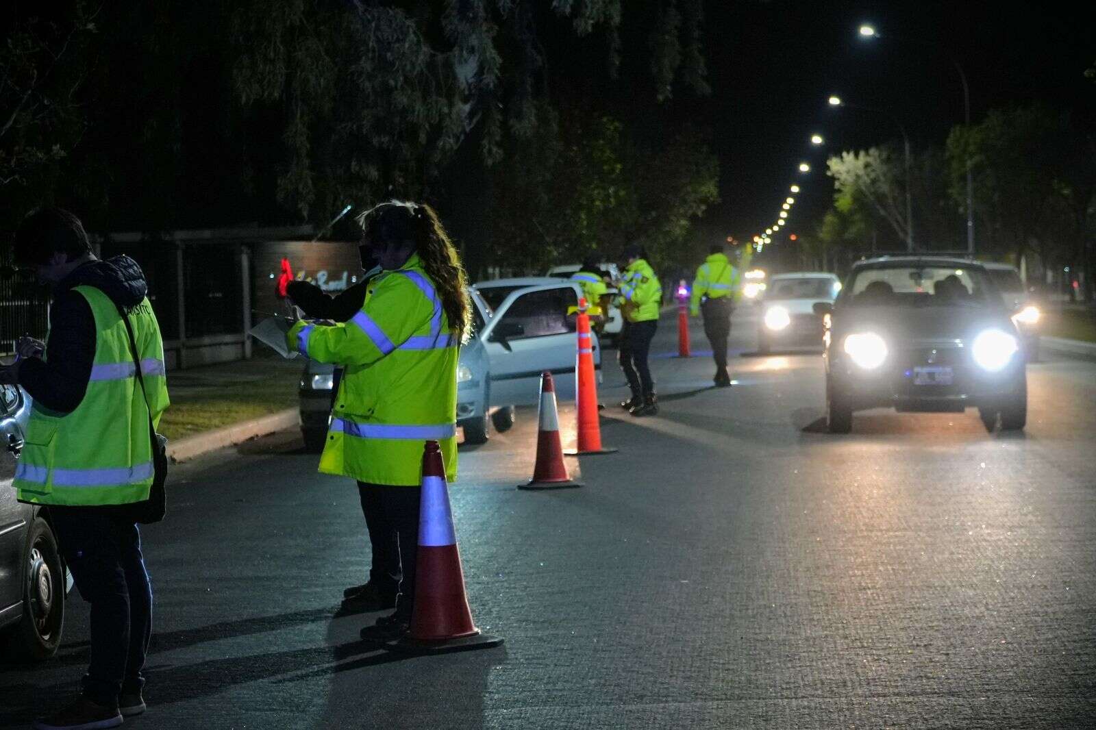 Santa Rosa: Se realizaron 293 mediciones de alcoholemia