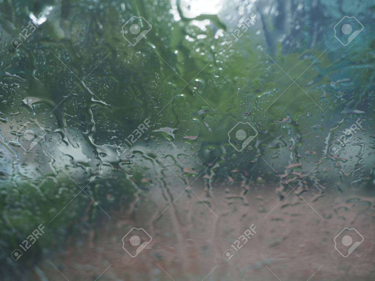 Importantes precipitaciones en el norte provincial