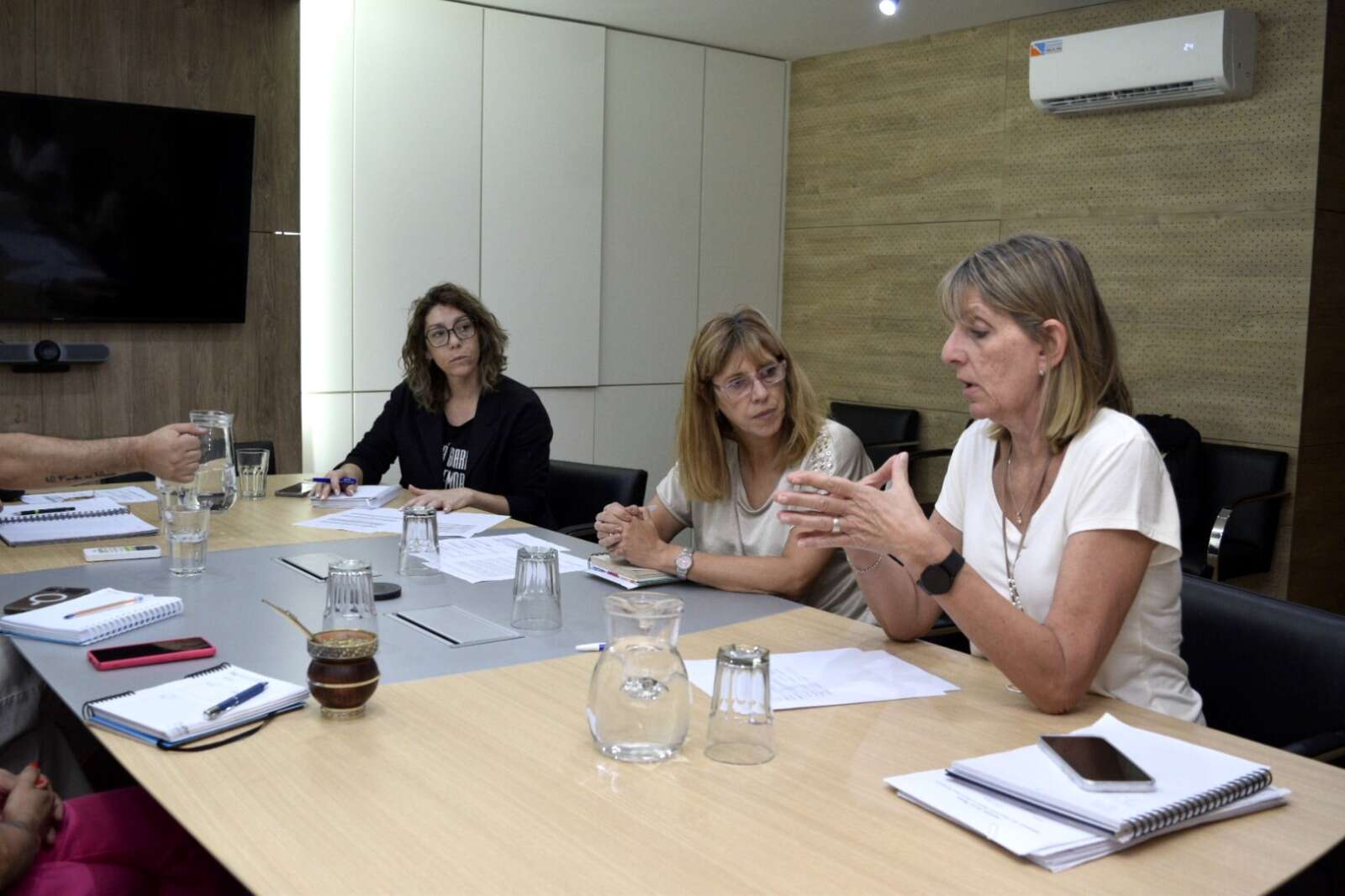 IVS en Santa Rosa: Planifican un nuevo relevamiento