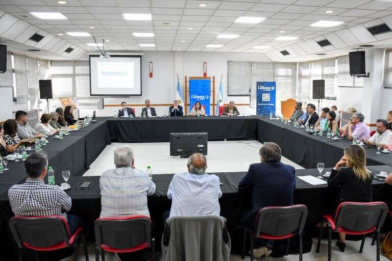 Ziliotto: “Vamos a seguir interviniendo en la economía, pero cambiaron las prioridades”