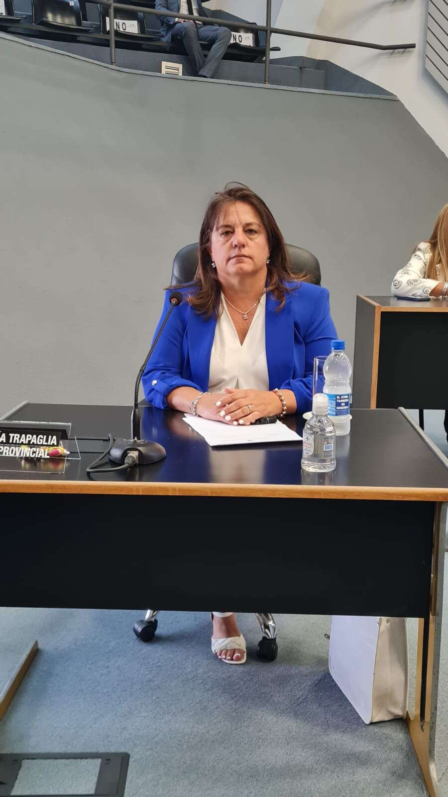 Trapaglia: “En estas condiciones, es imposible hacer un análisis serio del presupuesto”