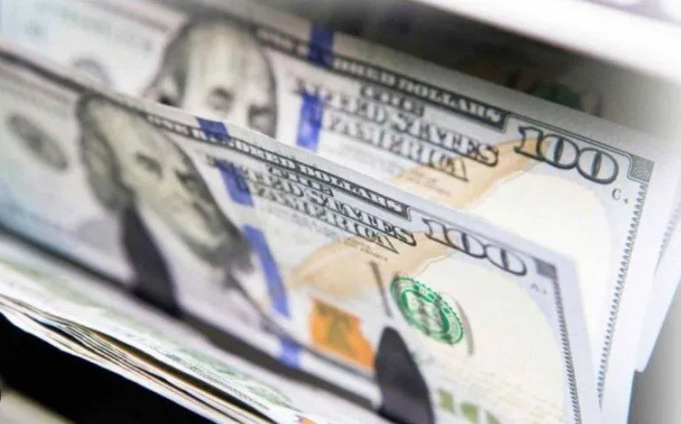 Dólar: el blue superó los $1.300 pese a que el Banco Central volvió a vender
