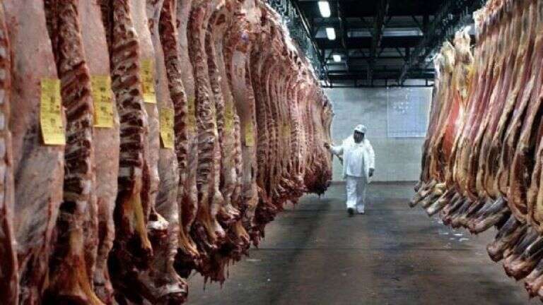 Fuerte retroceso en las exportaciones de carne en el primer trimestre de 2025