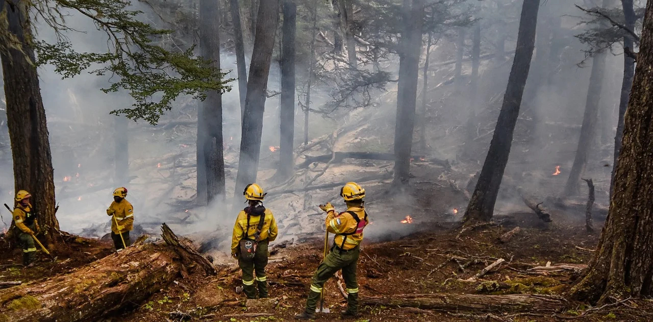Los incendios en el Parque Nacional Los Alerces ya consumieron más de 3.000 héctareas