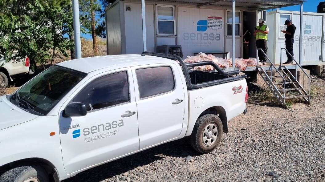 SENASA decomisó 600kg de carne con hueso proveniente de 25 de Mayo