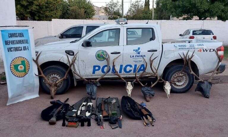 Telén: Detuvieron a cazadores furtivos que tenían un campamento con freezer y trofeos de ciervo y puma en un campo