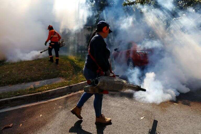 Paraguay: El dengue ya mató a 50 personas