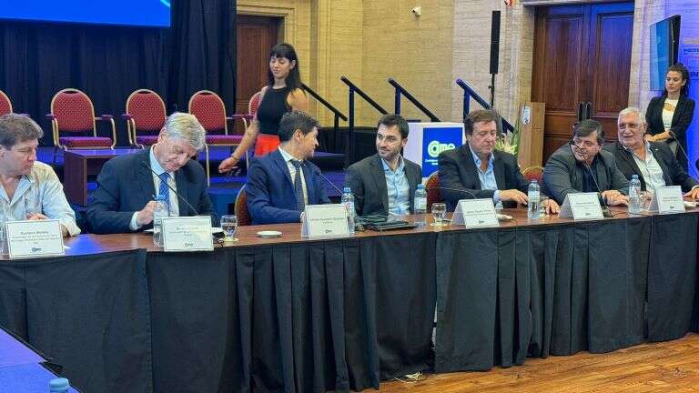 “Â¿Cómo no vamos a querer equilibrio fiscal si en La Pampa es algo histórico?”, señaló Ziliotto en CABA