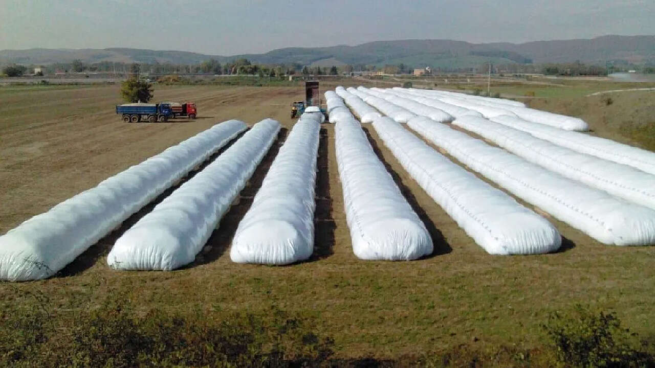 Galicia otorgó por primera vez un crédito en dólares tomando como garantía silobolsas