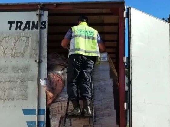 Incautaron 100 kilos de carne en Río Negro que provenía de La Pampa