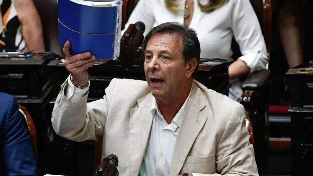 Zago: “Milei quiere una alianza con el PRO y algunos se oponen”