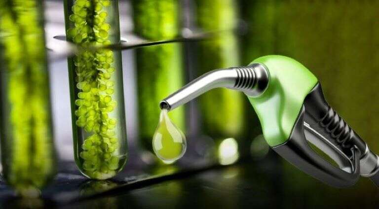 Fijan nuevos precios de los biocombustibles que tendrán incidencia en los surtidores en marzo
