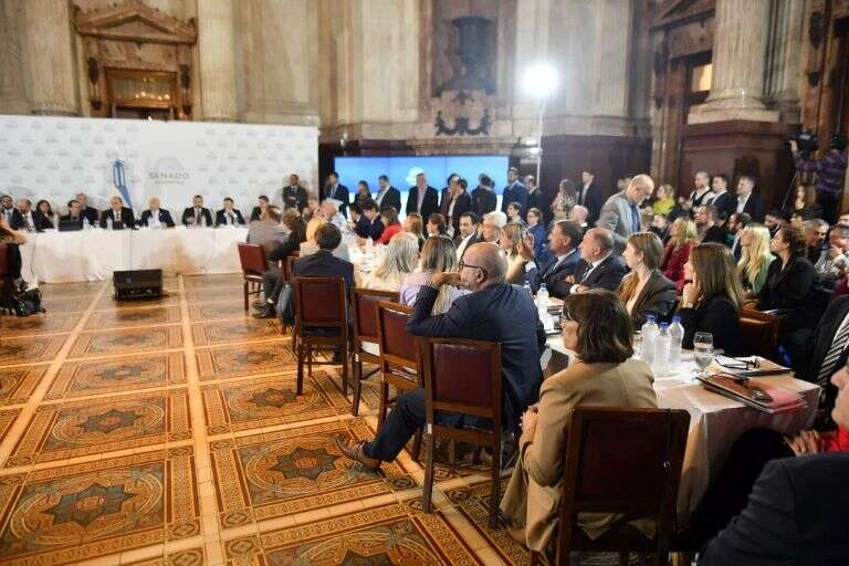 El Senado entró en cuarto intermedio hasta el lunes y enterró el deseo del oficialismo por conseguir el dictamen por Ley de Bases y paquete fiscal