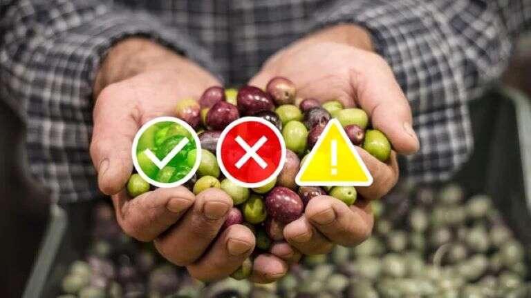 Por la inflación más de la mitad de las economías regionales están en crisis
