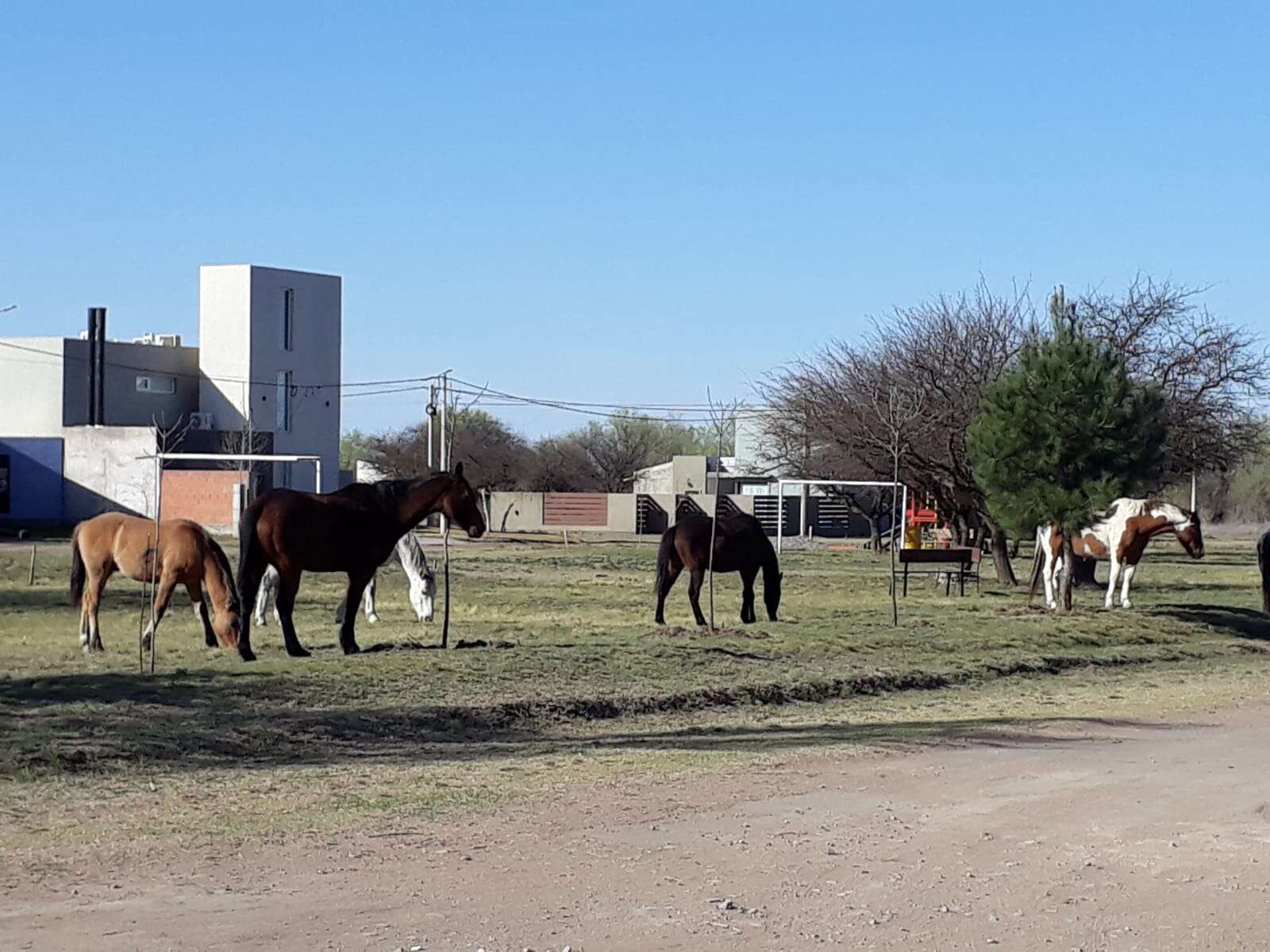 “Santa Rosa, ciudad equina”