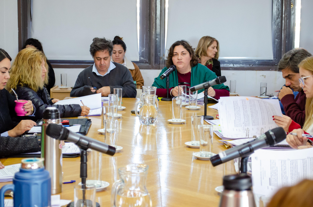 La Pampa: Diputados repudiará despidos y cierres de organismos nacionales