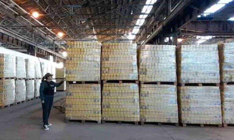 Ni comedores ni merenderos, el Gobierno nacional confirmó a dónde entregará los alimentos