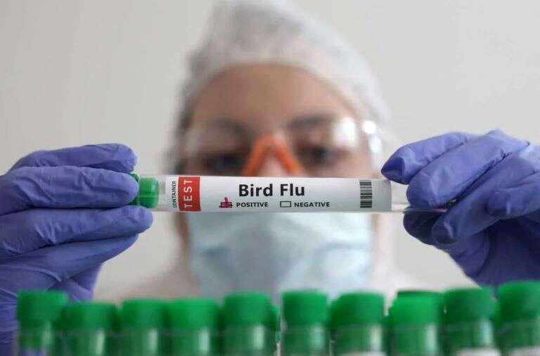 México: El Gobierno aclaró que la persona con gripe aviar AH5N2 murió por padecimientos crónicos y no del virus