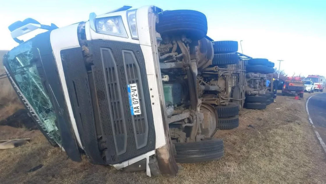 Volcó un camión cargado de terneros