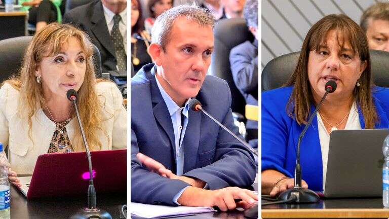 Los diputados opositores dicen que “Ziliotto insiste en imponer una ley inconstitucional”