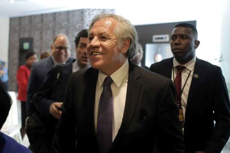 Venezuela: La OEA denunció una “manipulación aberrante” de las elecciones presidenciales