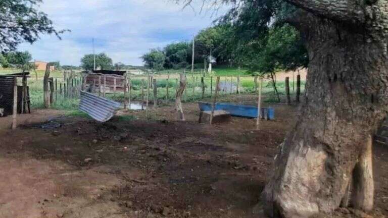 Telén: Le carneó una oveja y por el principio de oportunidad ahora tuvo que pagar por el daño