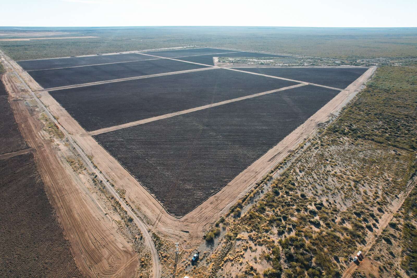 Cultivo de pistachos en Casa de Piedra: “Una decisión histórica e innovadora para la Caja Forense”