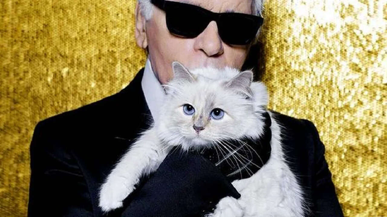 Â¿Quién es Choupette? La gata que heredó una fortuna y tiene hasta ama de llaves