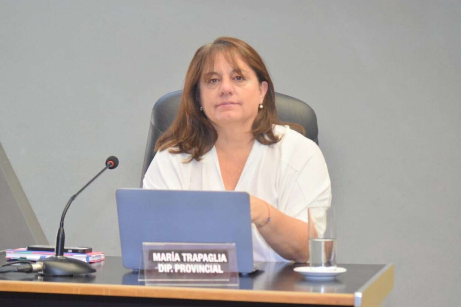 “El PRO no se va a fusionar con otros partidos”