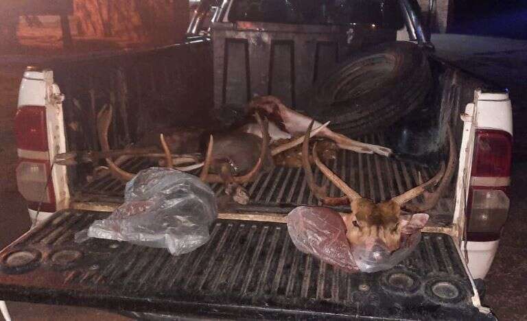 Detuvieron a tres hombres por caza furtiva y resistencia a la autoridadÂ en Carro Quemado