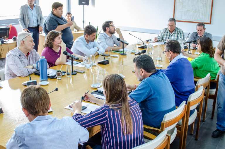 La Cámara de Diputados designó los representantes para “El Medanito”