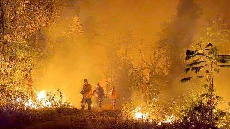 Bolivia: Importantes incendios forestales Â¿hay riesgo de que lleguen a la Argentina?