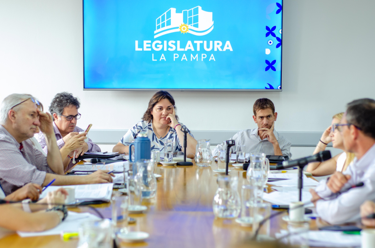 Varias reuniones de comisión en Diputados y la salida de algunos despachos