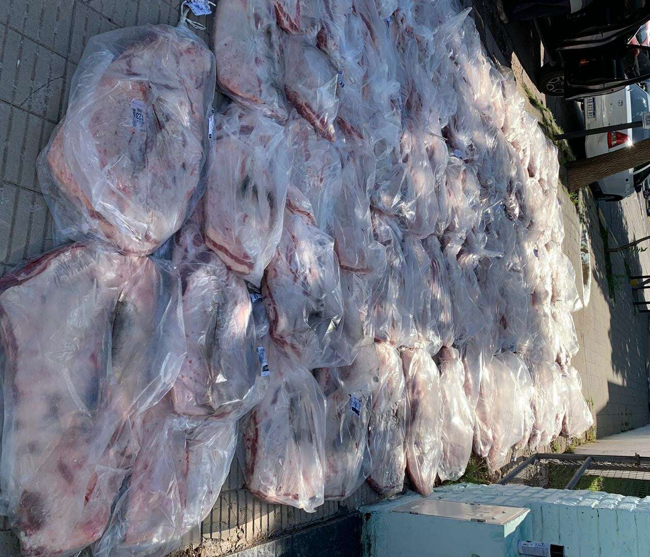 General Acha: Decomisaron 89 costillares en la RN 152