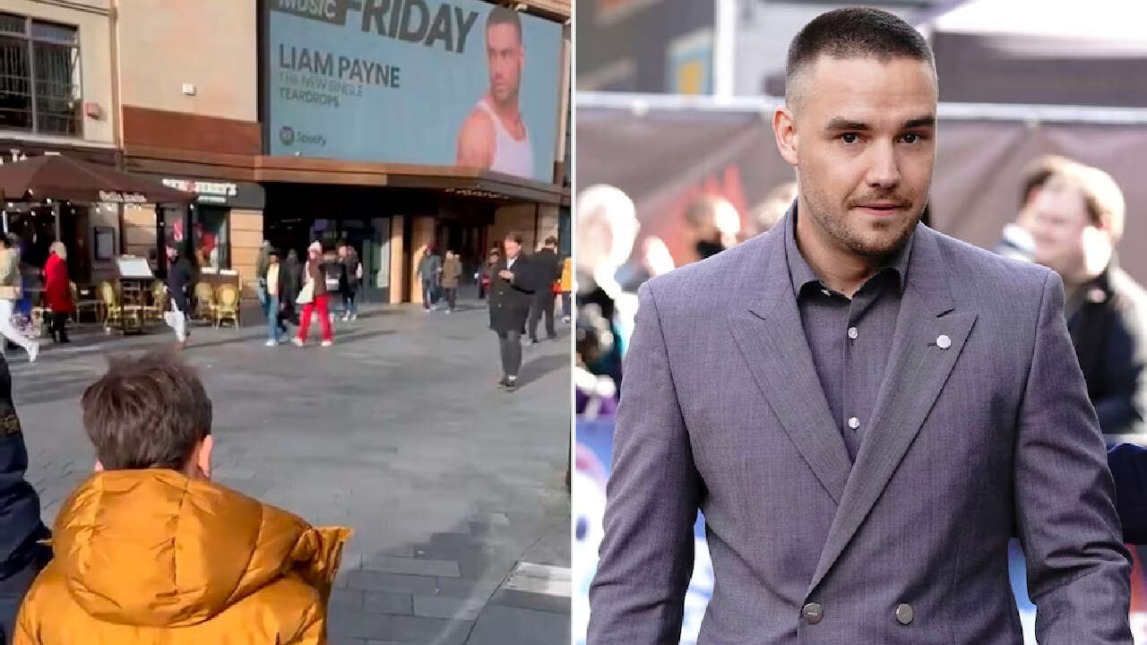 Algunas fotos que trascendieron de Bear, el hijo de Liam Payne y la relación del músico con la madre del menor