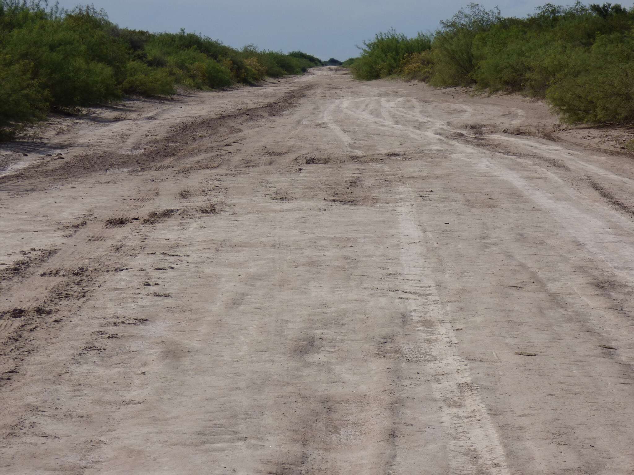 Vecinos y productores de Limay Mahuida preocupados por el abandono de la Ruta Nacional 143
