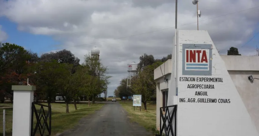 INTA La Pampa: El Gobierno nacional pretende reducir el personal y vender más de 3.000 hectáreas de campo