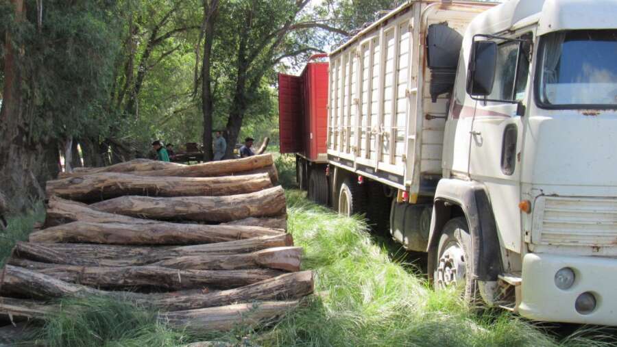 Recursos naturales: Detectaron incumplimientos y multaron por más de $22 millones