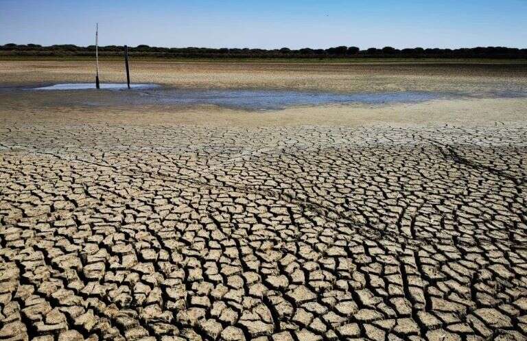 Córdoba: Polémica ambiental al acusar a una multinacional saudí de secar un acuífero