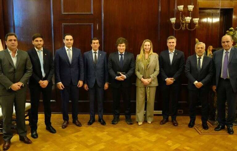 Gobernadores radicales se reunieron con Milei, analizaron la economía y evitaron polemizar sobre Alfonsín