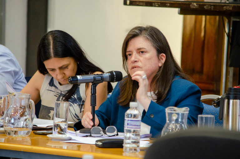 La ministra González defendió ante los diputados provinciales el Presupuesto 2025 para Producción