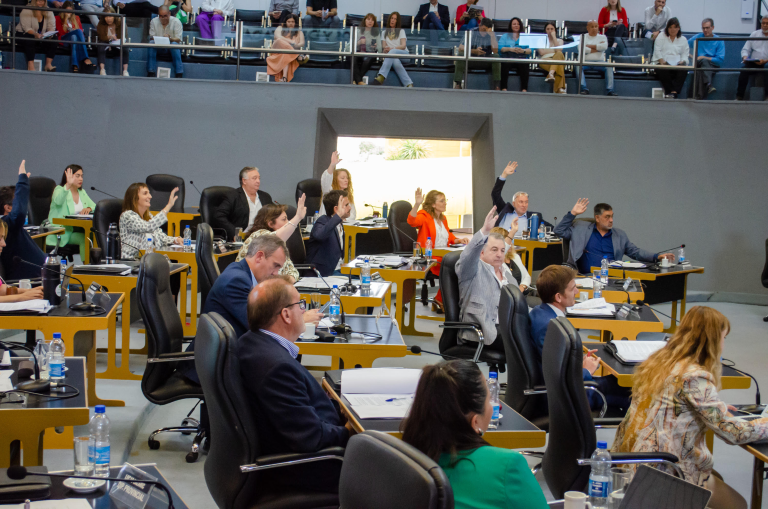 Diputados provinciales repudiaron por mayoría la participación de niños en la Comisión Nacional de Valores