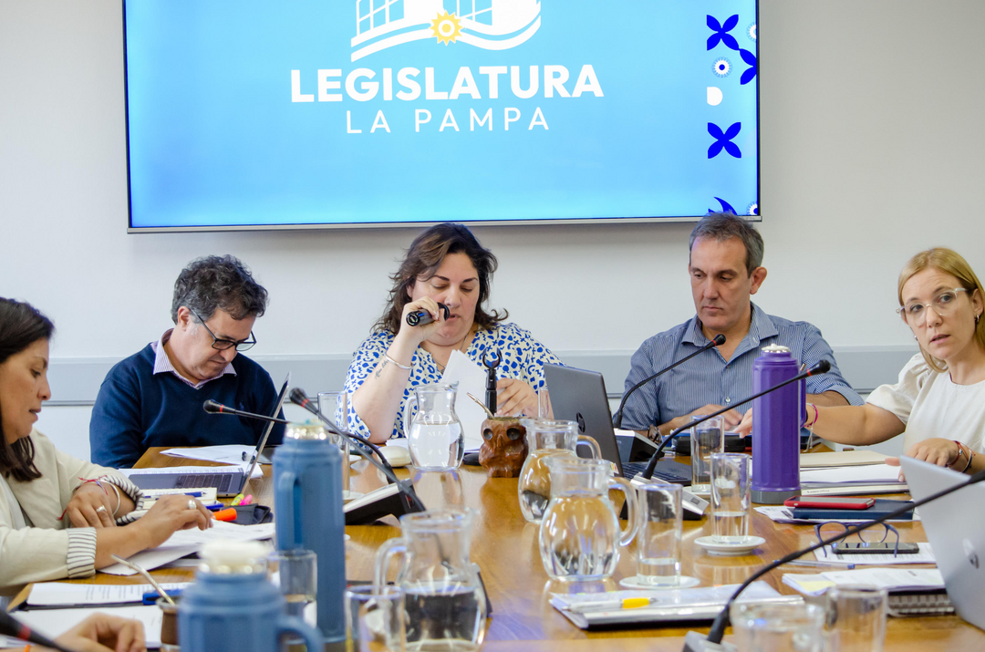 Dictamen para crear el Programa de Concientización y Prevención sobre los riesgos de las Apuestas Online