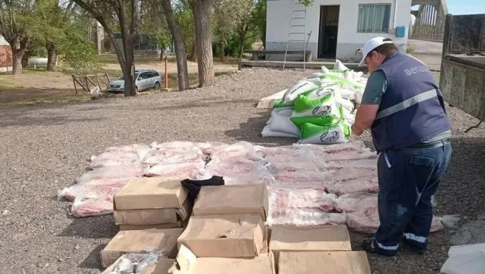 Confiscan 630 kilos de carne en el límite con La Pampa