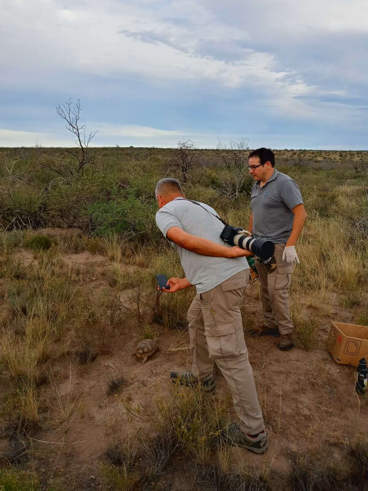 Liberaron tortugas y cardenales amarillos en la Reserva Provincial Pichi Mahuida