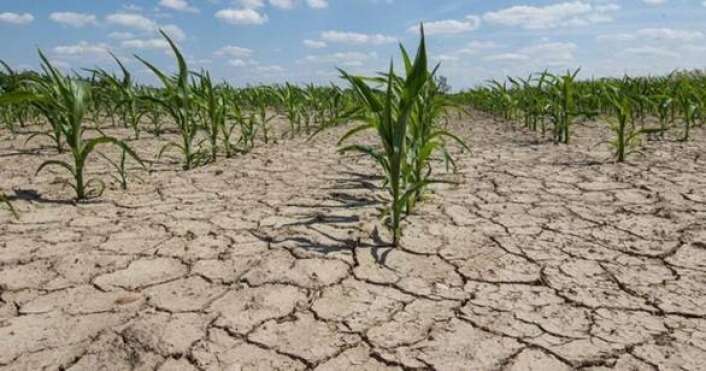 La Pampa busca homologar la emergencia agropecuaria ante la Comisión Nacional